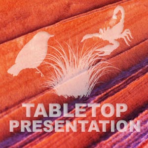 Tabletop Presentation