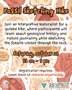 A flyer for a fossil sketching hike with a fossil background.